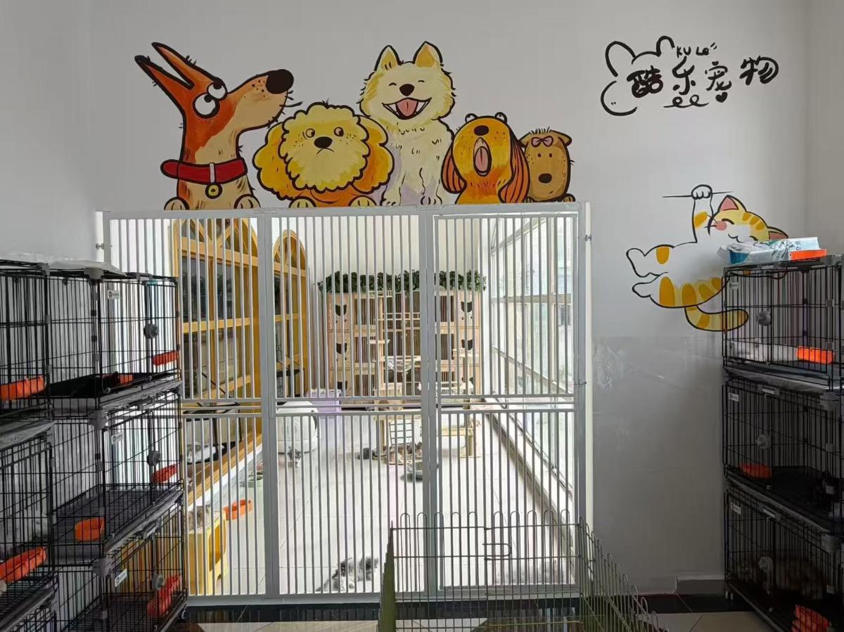酷乐宠物用品超市开业促销 - 图片 2