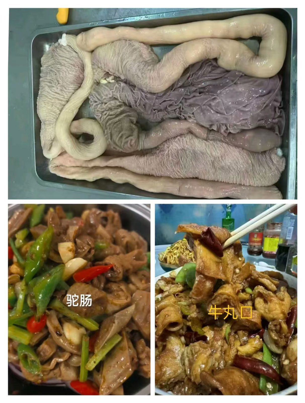 锡盟本地牛肚驼肠批发零售